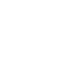Icon Phase 1