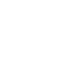 Icon Phase 4