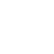 Icon Phase 3