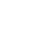 Icon Phase 5
